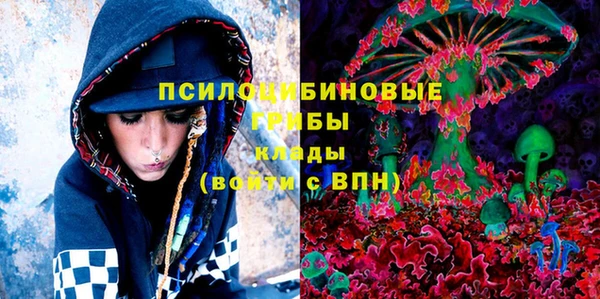 ГАЛЛЮЦИНОГЕННЫЕ ГРИБЫ Киреевск
