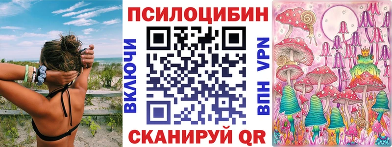 Галлюциногенные грибы Psilocybe  Купить где  Рязань 